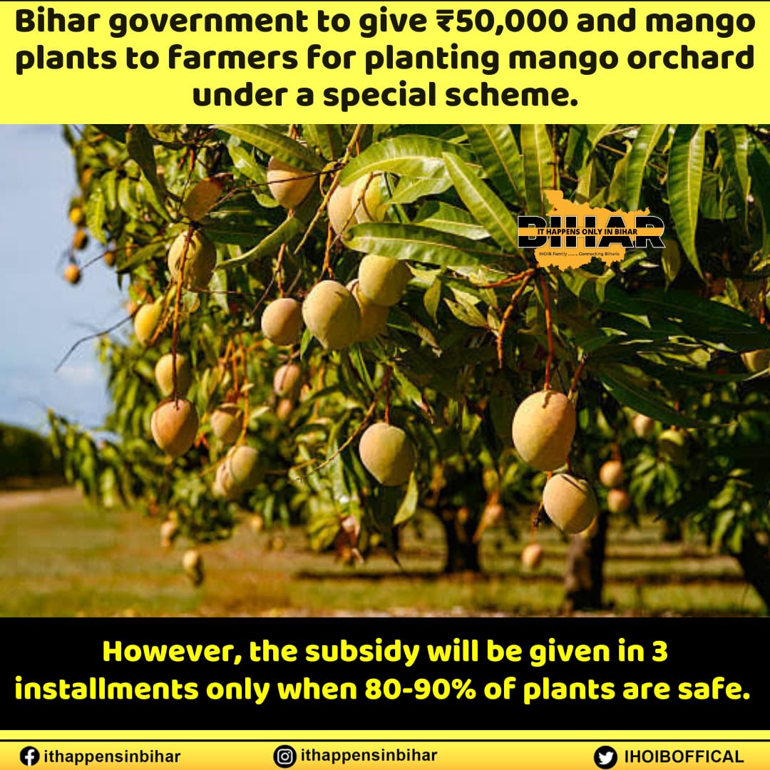 #BiharNews

#IHOIB #IHOIK #Bihar