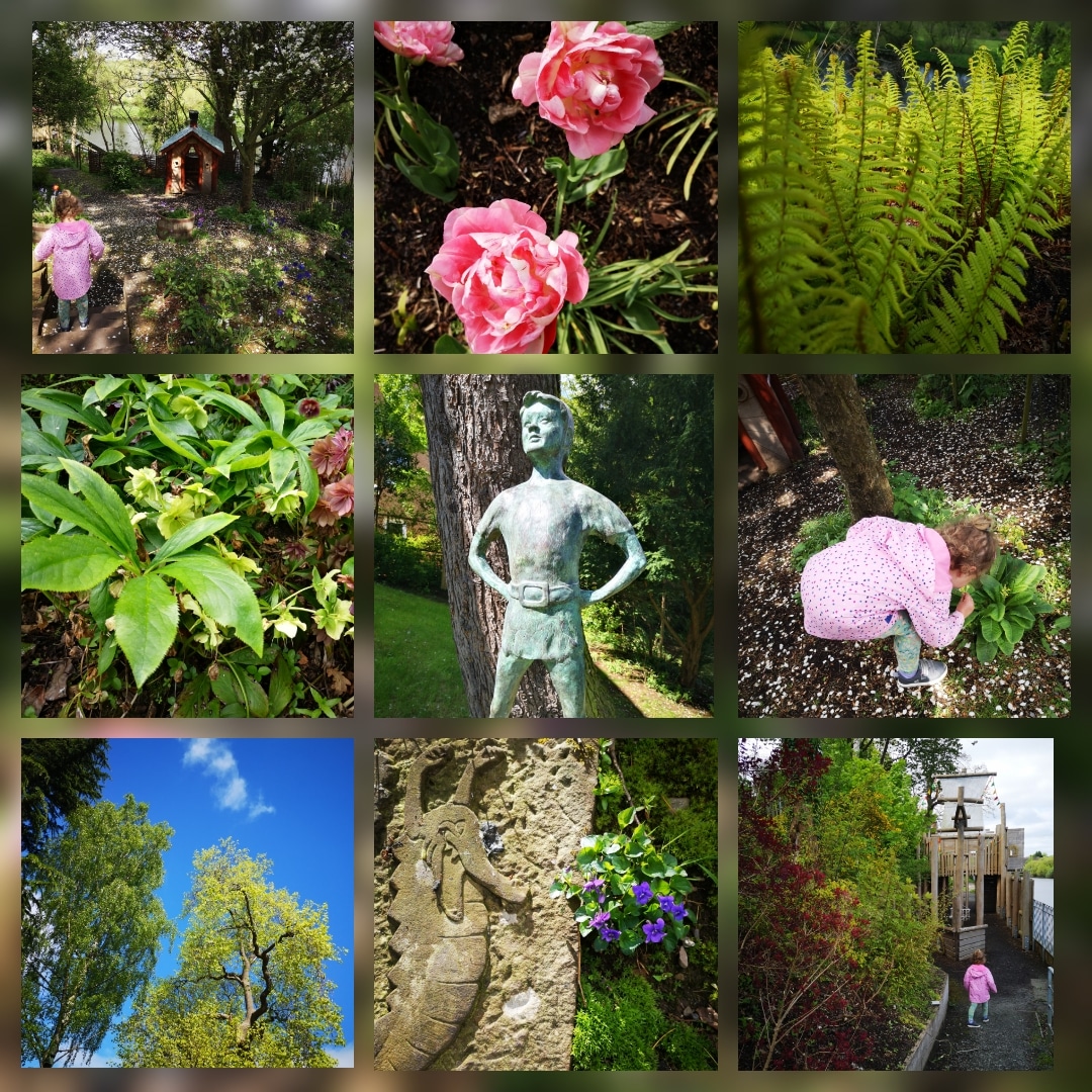 #fridayflorals today comes from my other job with a munchkin <a href="/moatbrae/">Moat Brae</a> where we go every Friday for story, craft and time in the garden