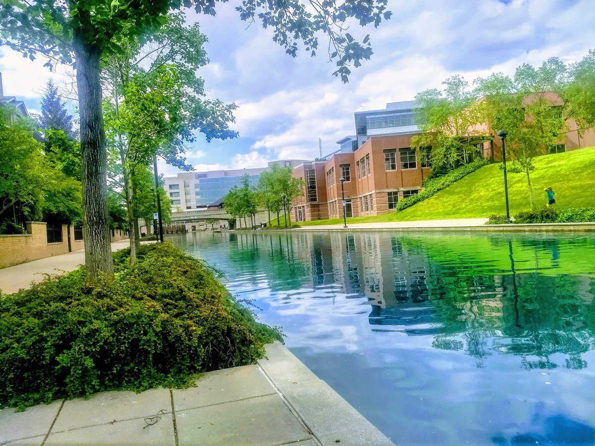 Adeyinka Akinsanya tweet media