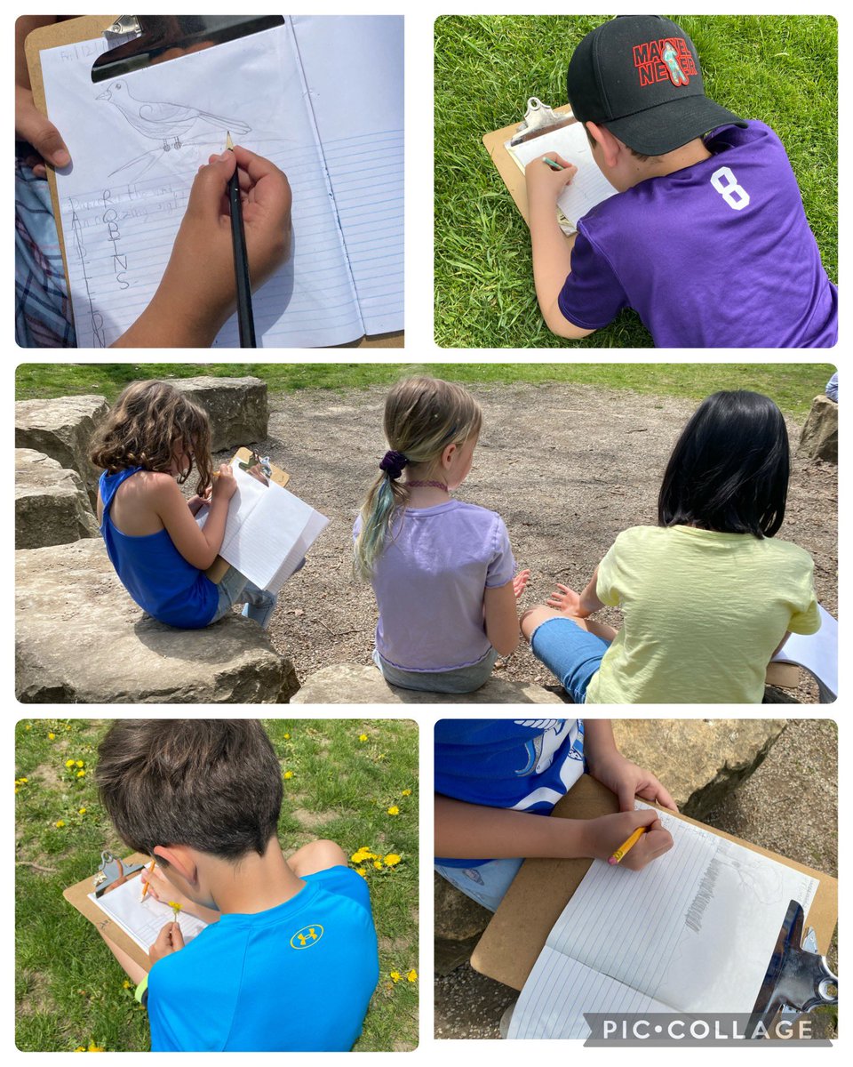 Perfect afternoon for #naturejournaling #getoutside <a href="/JohnDearnessTV/">John Dearness Public School</a>