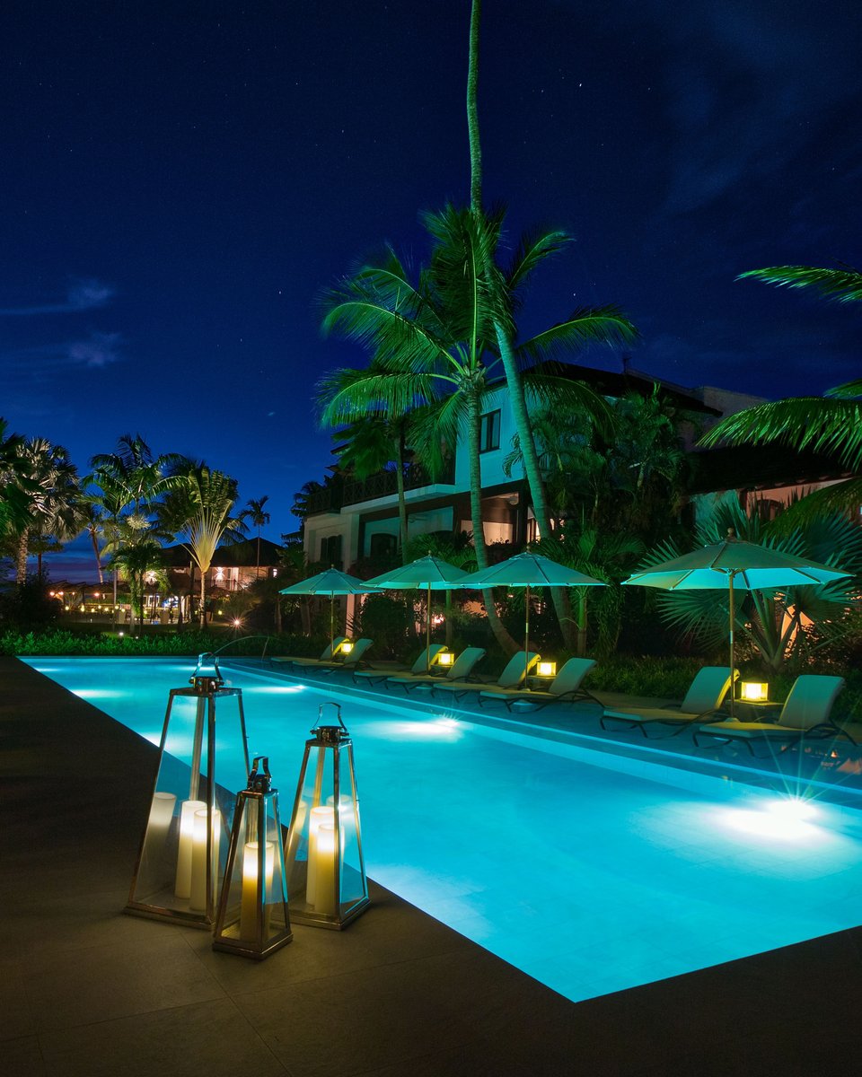 The Sandpiper tweet media