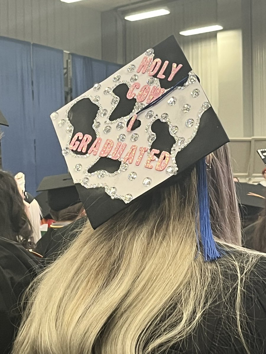 Steve Saunders tweet media