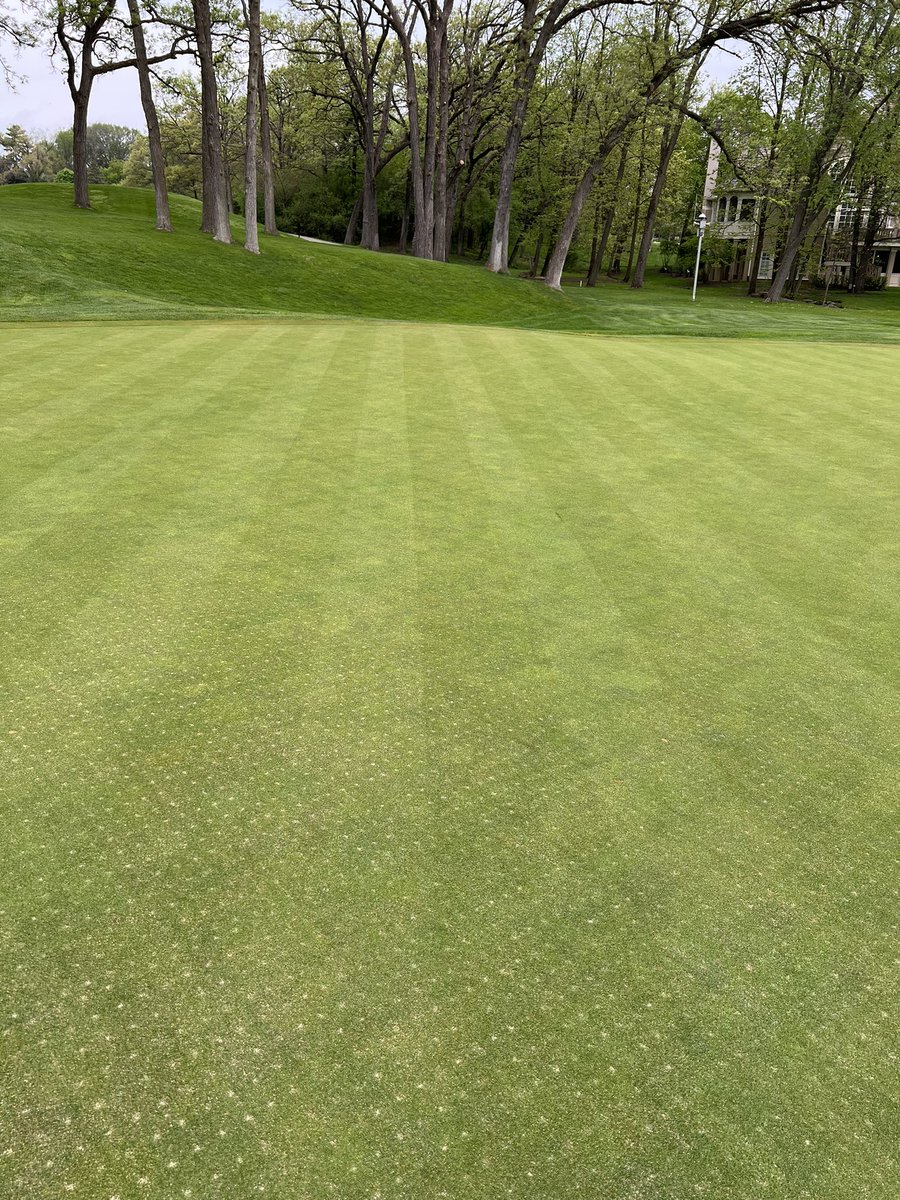 10 days post aeration
