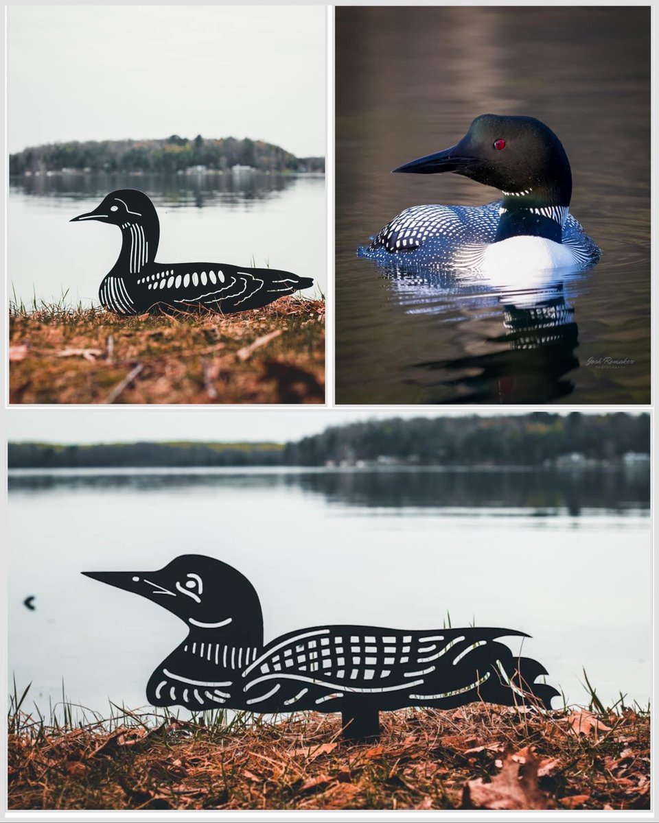 We have some metal art loons available for sale! $69.95 + shipping. A portion of the proceeds will be donated to Raptor Education Group, Inc &amp; their rehabilitation efforts in the Northwoods! DM for more information!