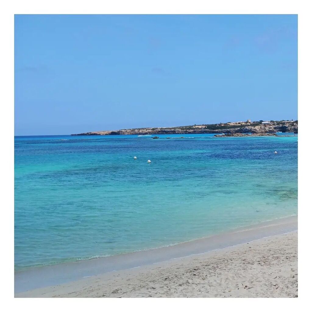 Vamos!! Buen finde!!
#curiosidad132
¿Sabías que los pingüinos tienen una glándula especial en la base de sus colas que les permite excretar una sustancia que actúa como un antiséptico natural? Esta sustancia ayuda a prevenir infecciones bacterianas en la piel y las plumas de…