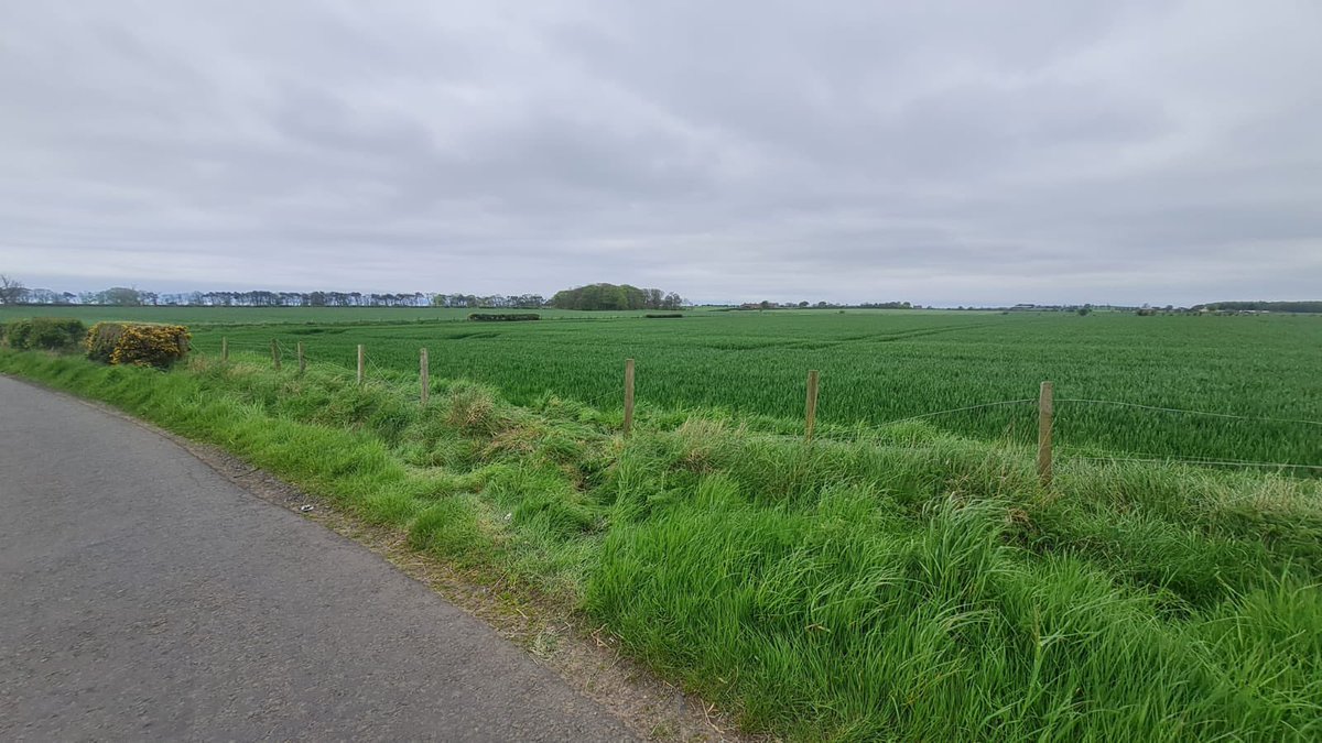 BalmonthFarm's tweet image. Someone in a Renault decided it was a good idea to go through our fence and drive off without having the courtesy to let us know #annoying #notthefirsttime 🤬