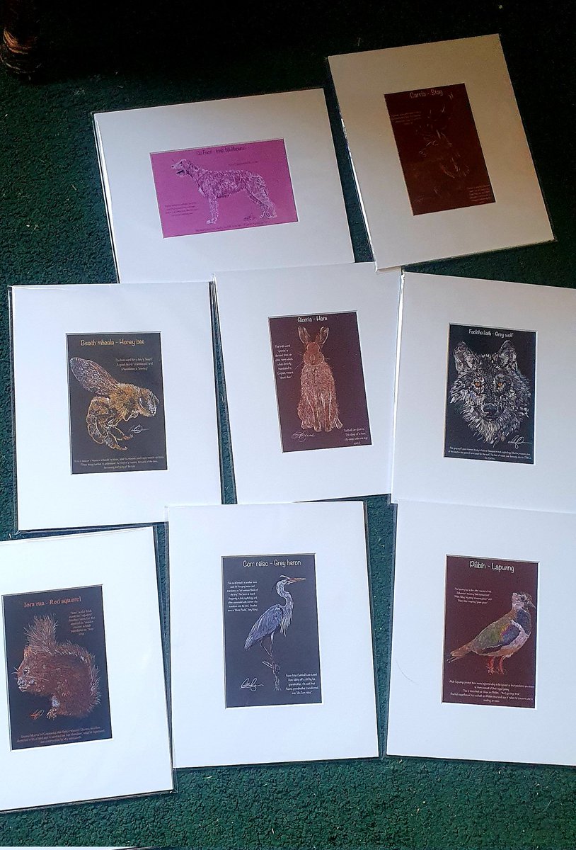 So surreal to see my art this way!
Prints will be available for purchase from Monday!
I'll make an announcment. 🙏🍀

#asgaeilge #gaeilge4all #Irish #Ireland #irishwildlife #illustration #irishart