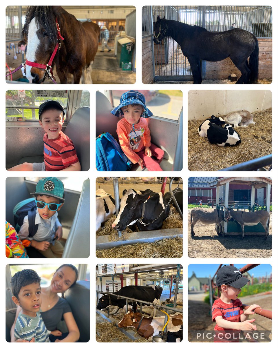 Kailee Jackson. tweet media