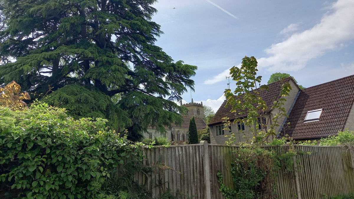 Rachel Goodfellow tweet media