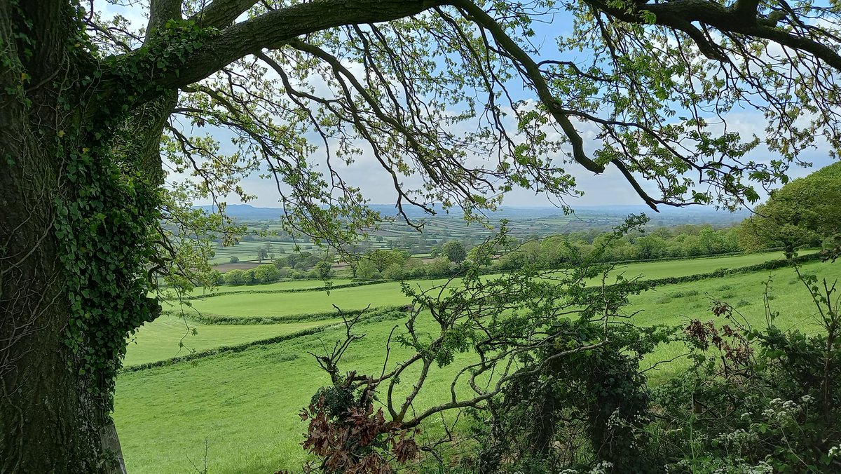 DAY 37 OF 46 MARATHONS IN 46 DAYS...a late start as I had to meet a family who's young person is doing work experience with @hiddenneedstrust from the day after I finish these marathons. Lovely day finishing with family <a href="/westcoker/">curlysue</a> <a href="/BridportRotary/">Bridport Rotary</a> supporting tomorrow.