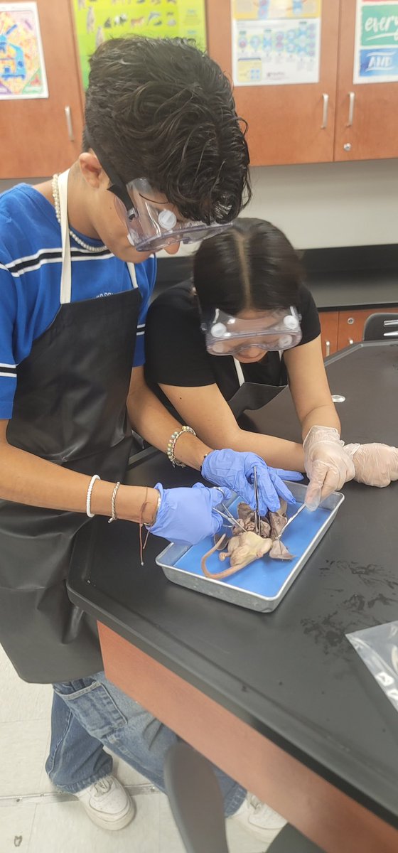 LCISD Science tweet media