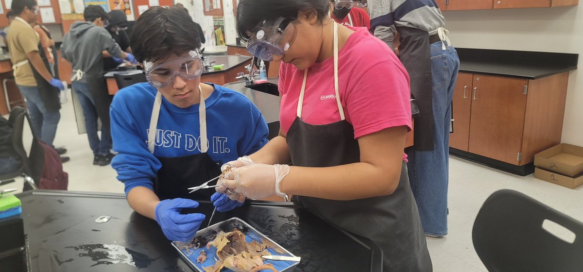 LCISD Science tweet media