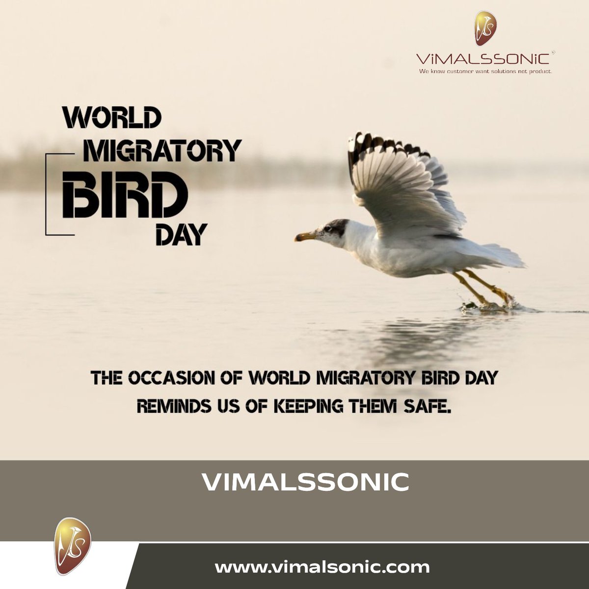 RAHUL3122's tweet photo. Today is Bird Migration Day, a day to celebrate the incredible journeys of birds across the globe.
Let's take a moment to appreciate the beauty and wonder of these amazing creatures. #BirdMigrationDay #Nature #Wildlife
#migratorybirds #birds #bird #nature #migratorybirdsday https://t.co/qdZ3pHZt2L
