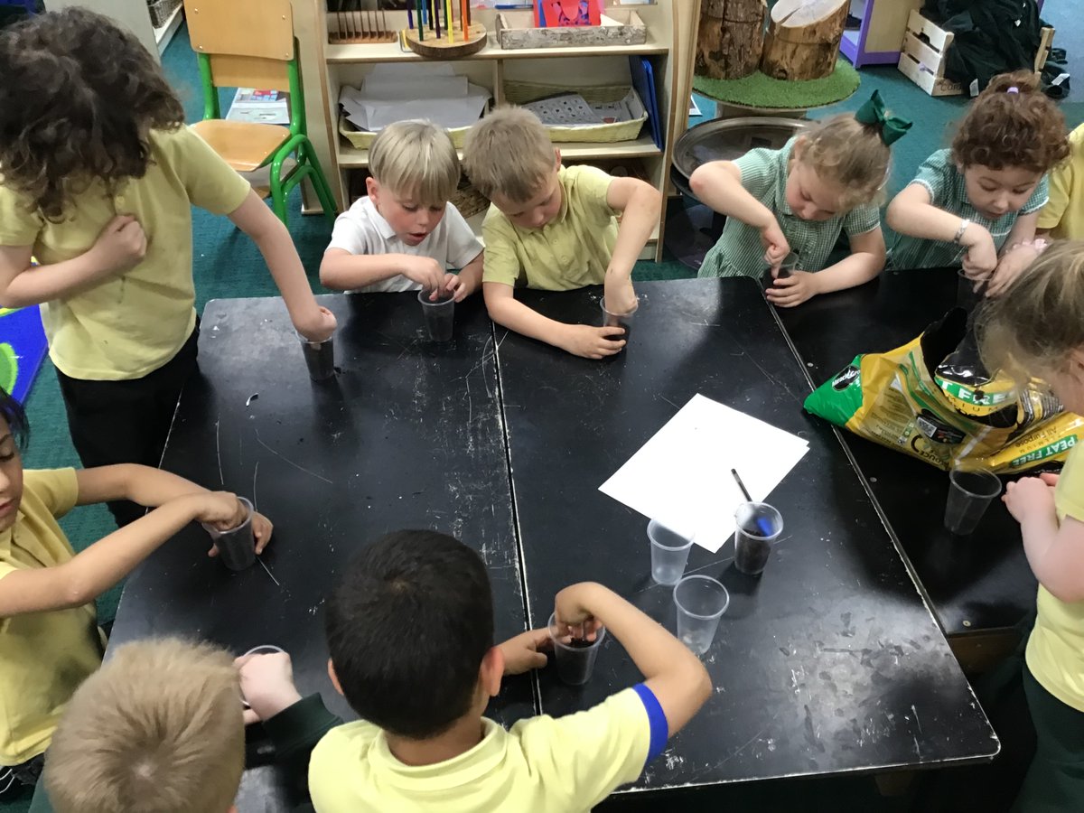 Reception Shooting Stars Hardwick Green tweet media