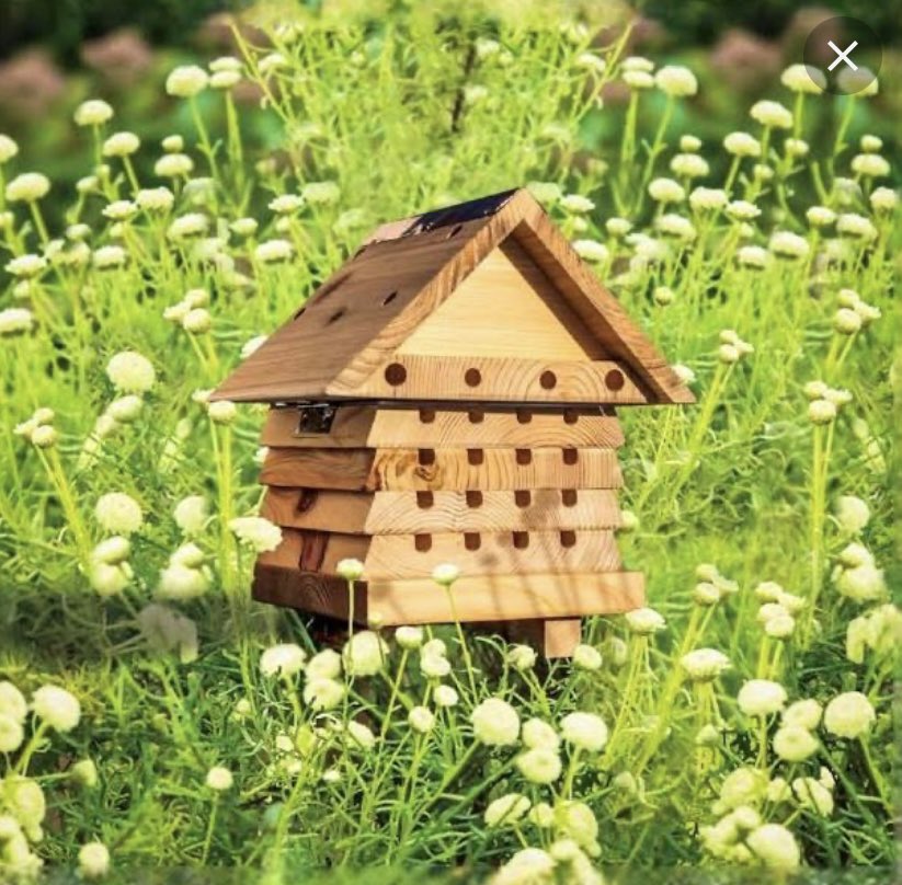@BeeAsMarine @VLandMovement @HyapatiaLee @janejane24 @_Pehicc @debbie156 @debbie2291 @debraruh @elvia_espi @bab_102 @137activism @hilltopgina @NakabuyeHildaF @fadullo602 @TLo02 @May16L @OrbPlanet @jacqui703 @Lin11W My first Bee house…. all Bees welcome🐝🐝🐝🐝