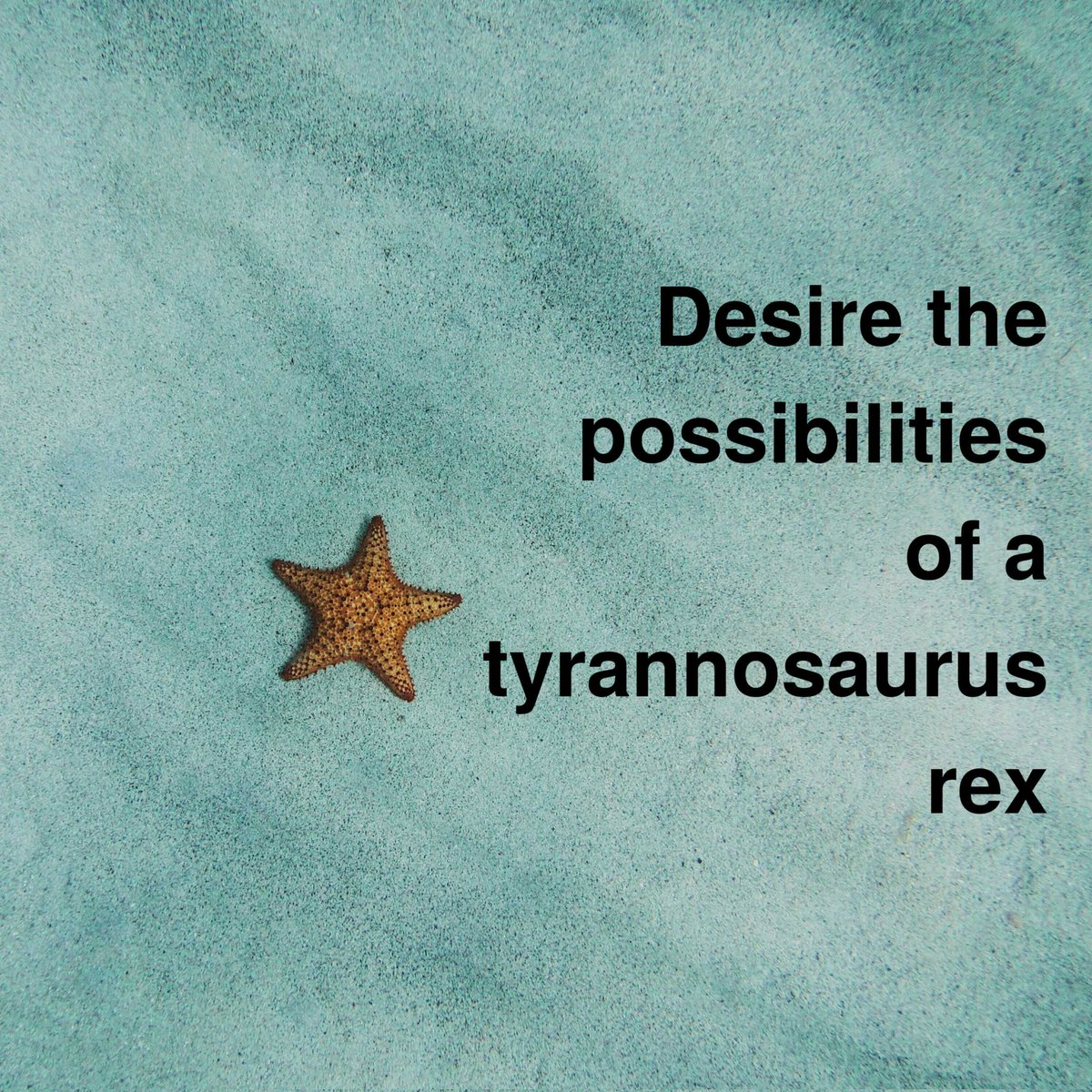 𝐓𝐡𝐞 𝐀𝐝𝐦𝐢𝐫𝐚𝐥 ; 𝑹𝒉𝒐𝒔𝒕 ( hiatus. ) (@firstfleetmight) on Twitter photo 