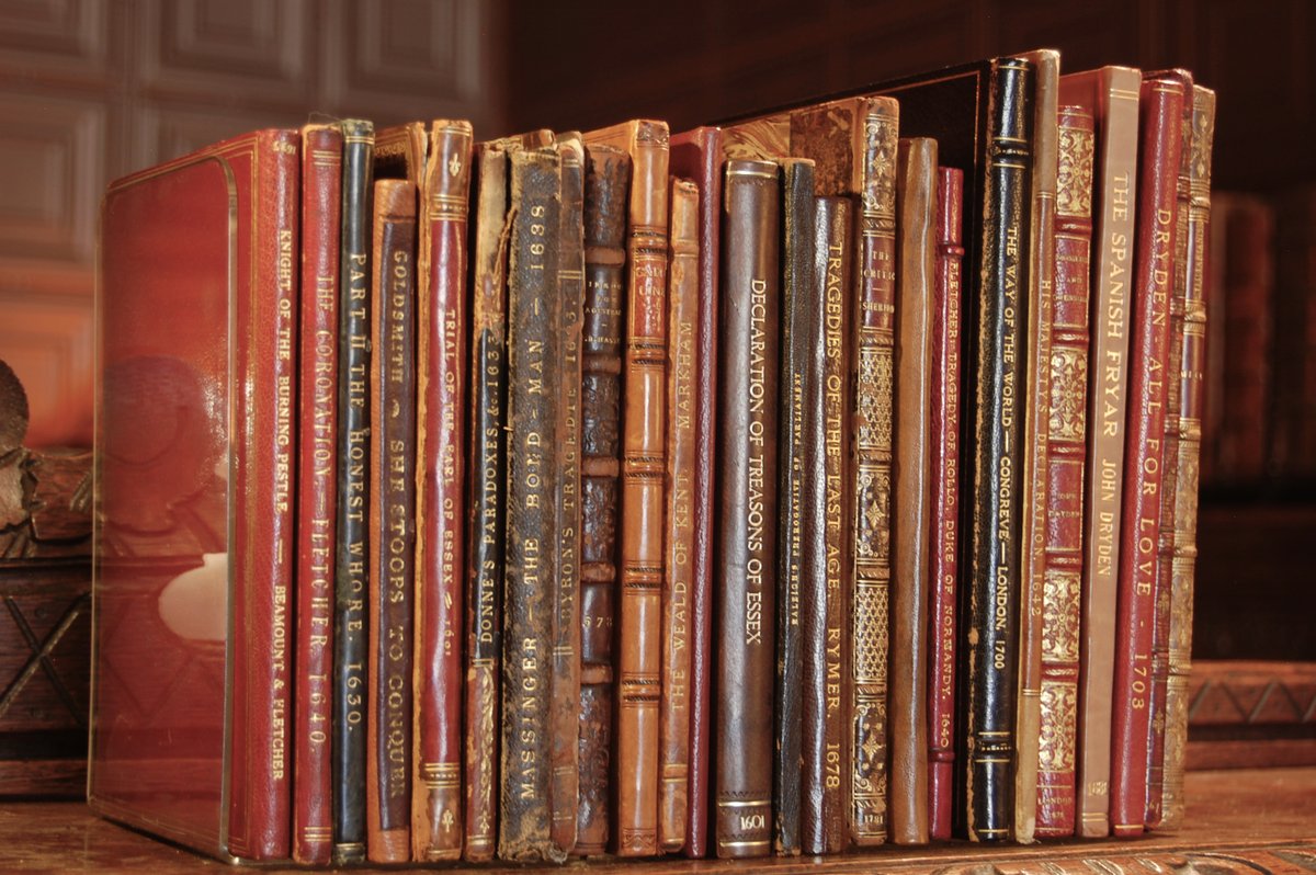 _RHCollection's tweet image. Quarto glamor shot.