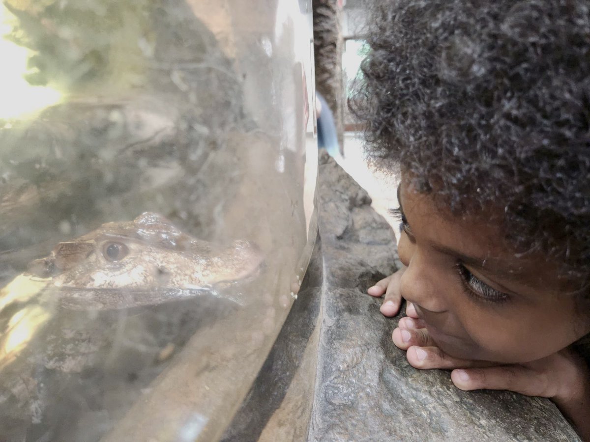 mortonmath7's tweet photo. We had such an amazing trip to the Dallas World Aquarium! Thank you to all the chaperones and staff at the aquarium for making it possible. @AquariumDallas @BeaverMST_Stars https://t.co/GGDiQxkizo