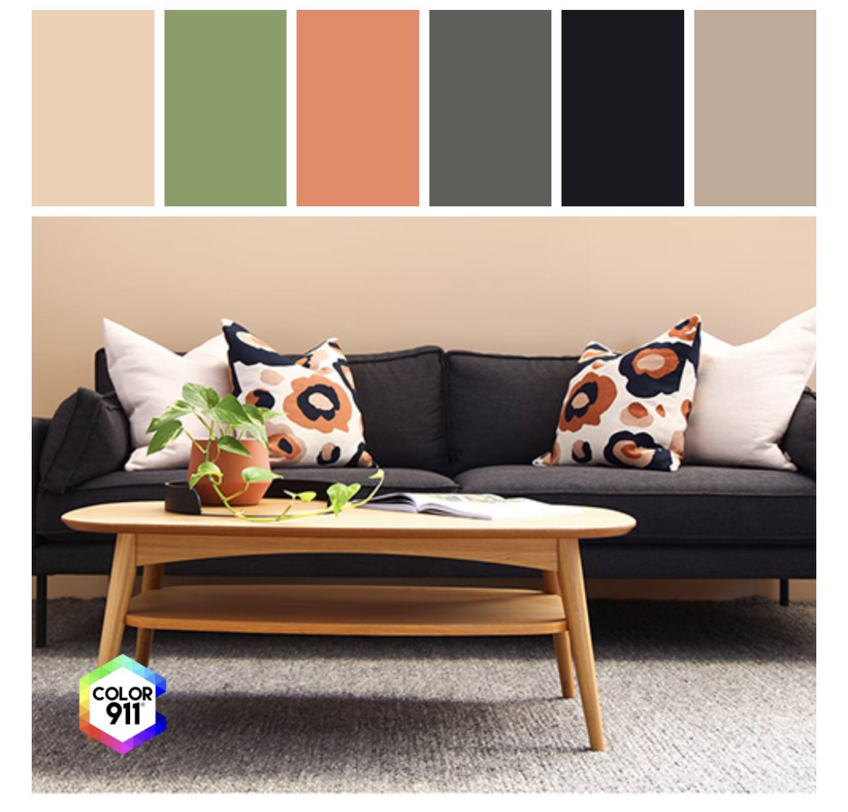 color911's tweet image. Found a living room and loved how they used the #Earthtones, so I captured the #colors w the #Color911 #app and saved them for #inspiration. A great #design tool for everyone from #DIY er to #designer. Check it out: Color911.com 
@VERANDAmag #colorapp #designapp