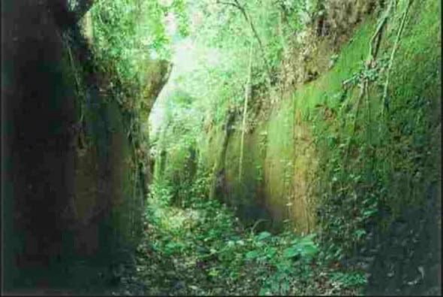 Nigeria Stories on Twitter "THE MYSTERY OF BILIKISU SUNGBO SHRINE IN