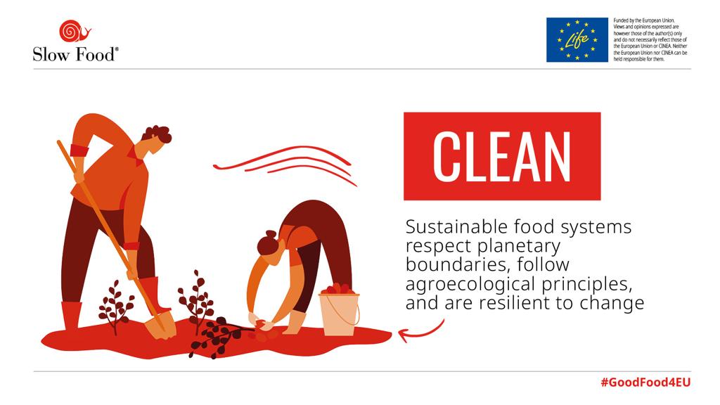 One thing is clear. We cannot continue on the path we are on.

We need a deep and radical transformation towards CLEAN food systems that respect planetary boundaries and agroecology.

We must choose regeneration over #Extinction2023