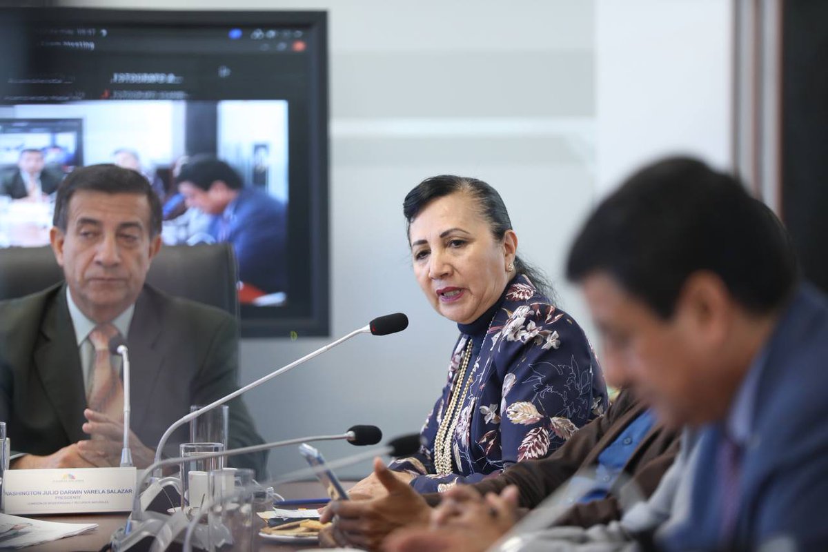 La vicepresidenta de <a href="/BiodiversidadAN/">Comisión de la Biodiversidad y Recursos Naturales</a>, <a href="/ConsueloVegaMS/">Consuelo Vega Olmedo</a>, destaca el trabajo y decisión política de los legisladores <a href="/PedroZapataG/">Pedro Zapata</a> y @MGSfredyC, así como de los comisionados y equipo técnico, respecto a la evaluación de la #LOREG.