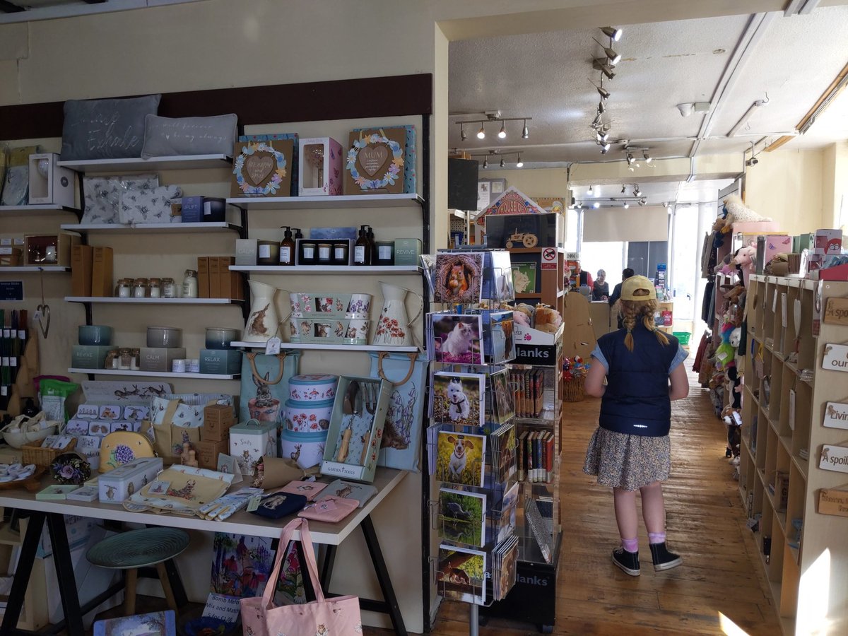 Dr Dot Boughton tweet media