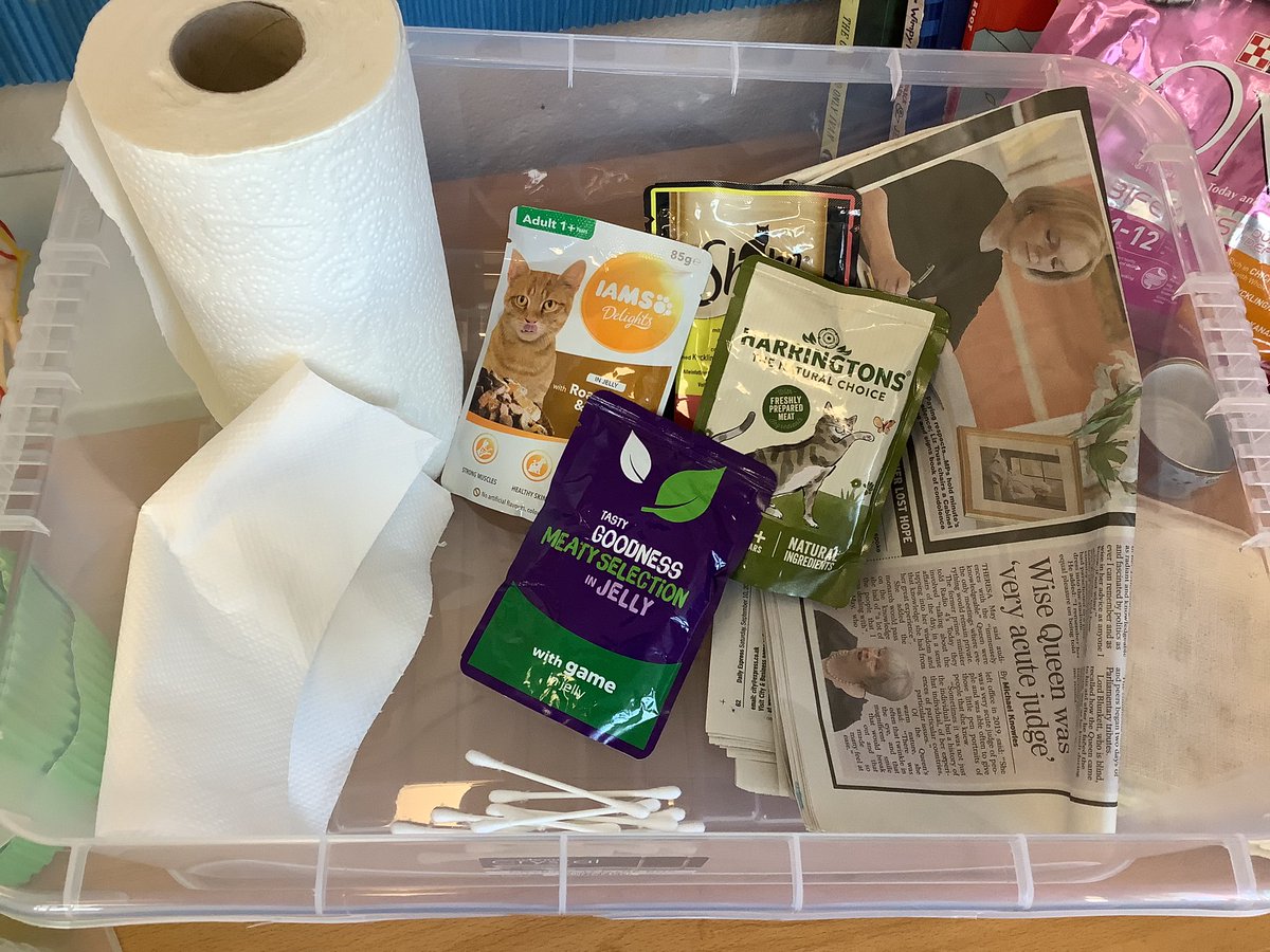 Gillibrand Willow Class (@gpswillow) on Twitter photo Solid start to Year 3βs #hedgehog care package today. Over to you <a href="/GPSSilverBirch/">Gillibrand Silver Birch Class</a> <a href="/GPSElmClass/">Gillibrand Elm Class</a> <a href="/GPSHolly/">Gillibrand Holly Class</a> <a href="/GPSBeech/">Gillibrand Beech Class</a> <a href="/GPSSycamore/">Gillibrand Sycamore Class</a> <a href="/GPSOak/">Gillibrand Oak Class</a>
Thanks to all who brought items in!
#chorleyhedgehogrescue #charityoftheyear Solid start to Year 3βs #hedgehog care package today. Over to you <a href="/GPSSilverBirch/">Gillibrand Silver Birch Class</a> <a href="/GPSElmClass/">Gillibrand Elm Class</a> <a href="/GPSHolly/">Gillibrand Holly Class</a> <a href="/GPSBeech/">Gillibrand Beech Class</a> <a href="/GPSSycamore/">Gillibrand Sycamore Class</a> <a href="/GPSOak/">Gillibrand Oak Class</a>
Thanks to all who brought items in!
#chorleyhedgehogrescue #charityoftheyear