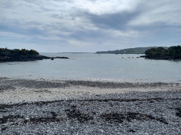Beautiful weather and stunning views in West Cork!

We are so lucky to be able to work in such a beautiful part of the country.

#welivemilk #delaval #WestCork #familycompany