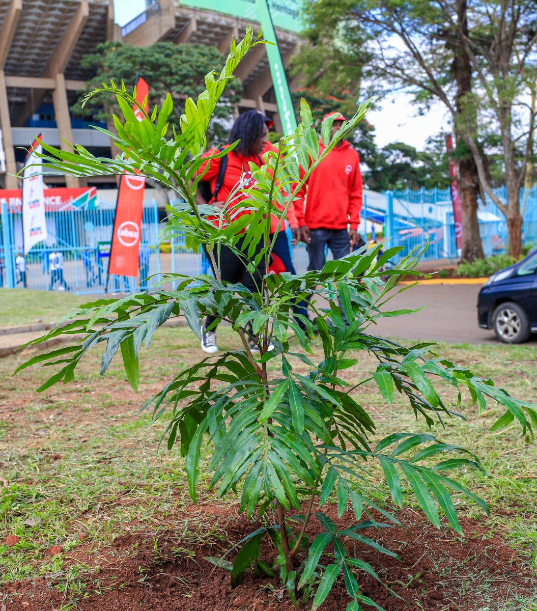 AbsaKenya's tweet photo. At Absa, we are keen on environmental conservation, and as part of our #AbsaSustainabilityAgenda, we have a commitment to plant 10 million trees by 2025. 

#AbsaKipkeinoClassic
#AbsaPoweringSports
#JazaKasarani https://t.co/VYItEVBwYZ