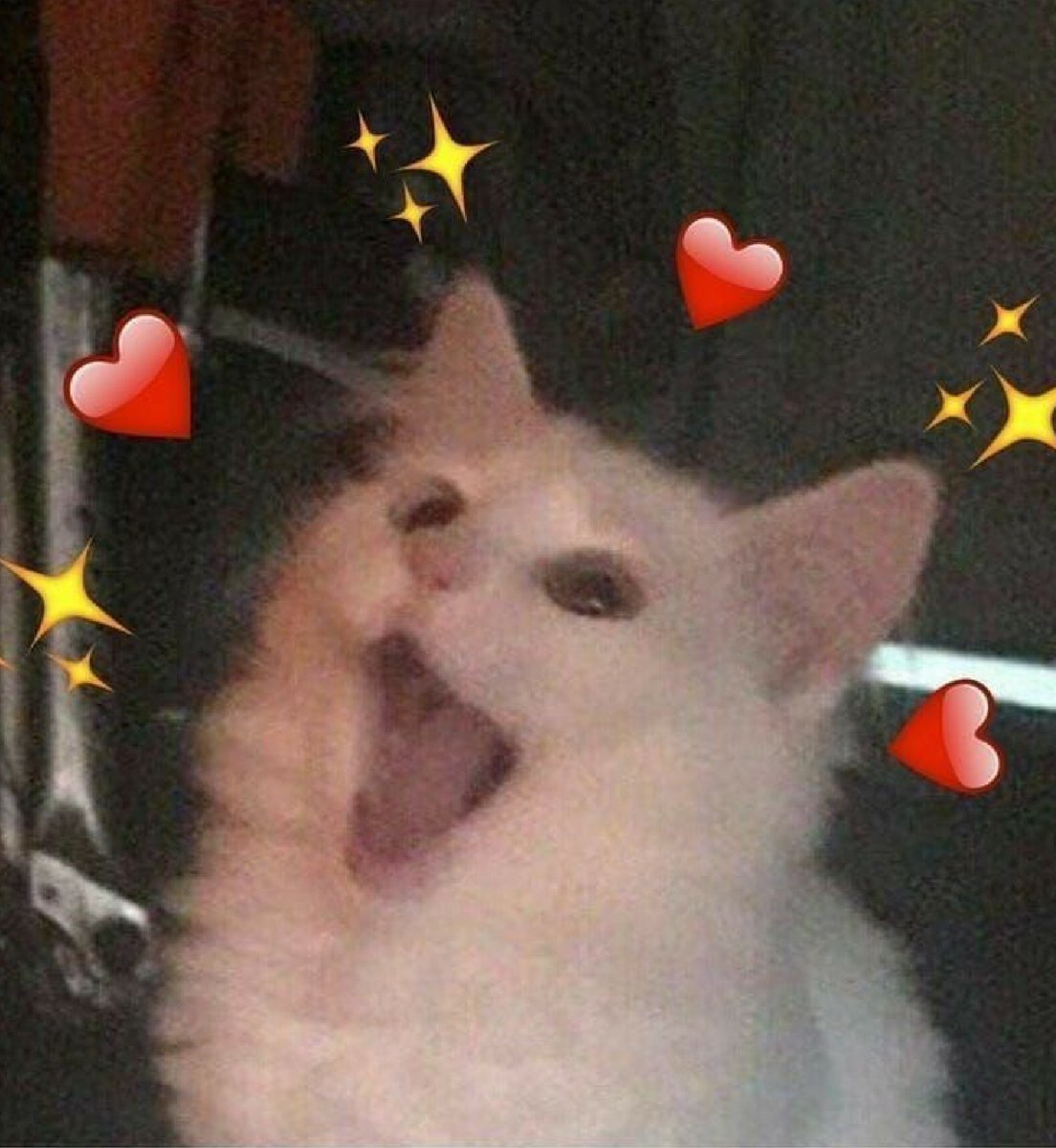 AstralClient's tweet photo. you look amazing today https://t.co/CepGuokuh3