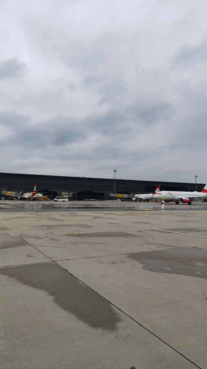 Auf zu den <a href="/projectvgg/">PROJECT V</a> Finals🙌🏼