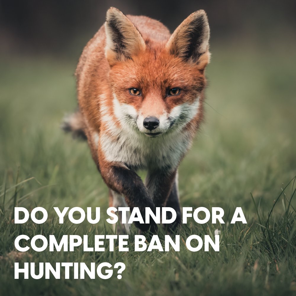 Protect the Wild tweet media