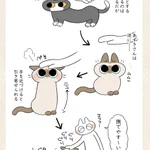 撫でようとして避けられちゃうのは猫あるあるだけど･･･!とっても可愛い愛猫のお話を描いた猫漫画が話題に!
