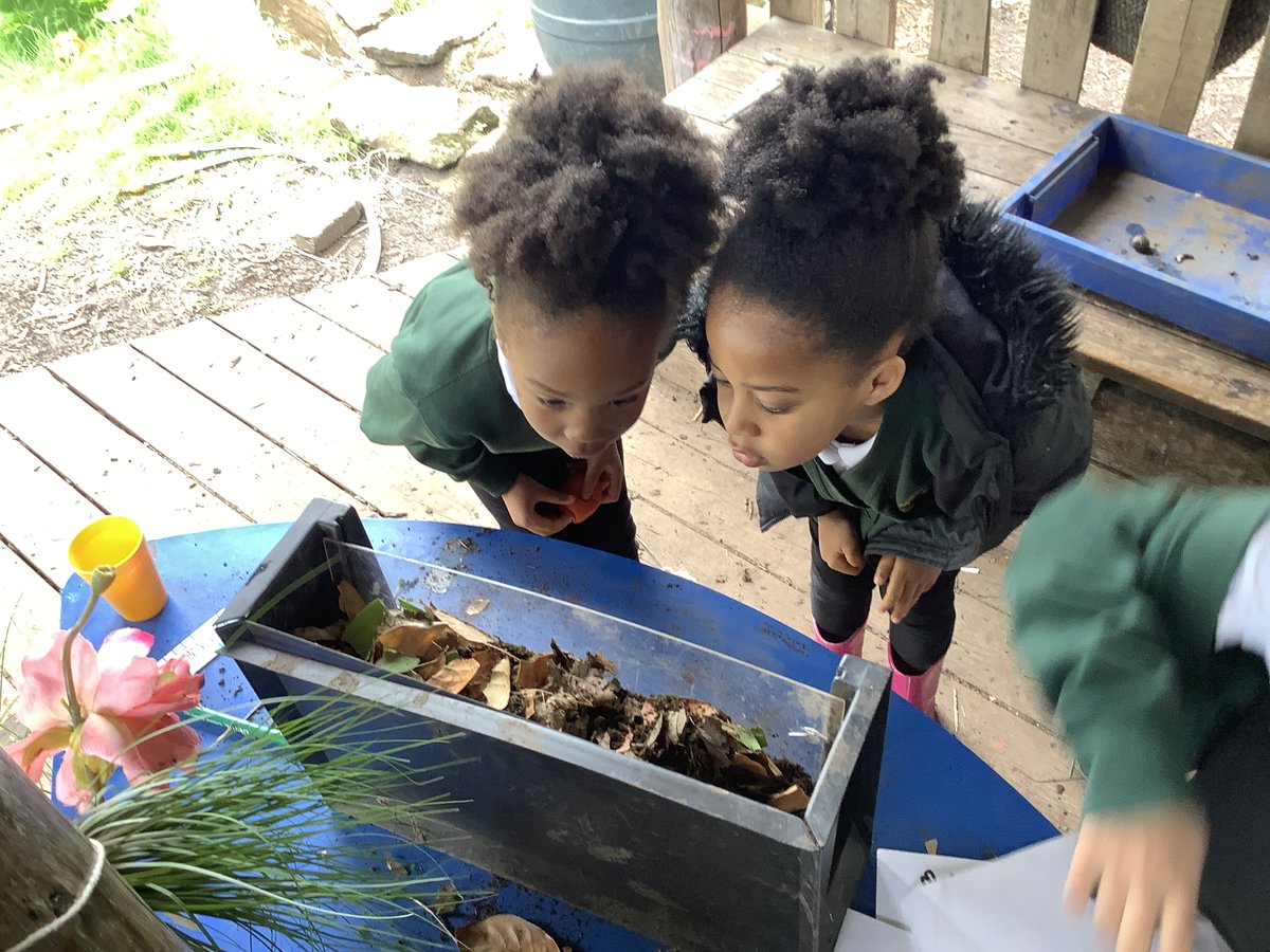 EACTBannermanRd's tweet photo. Cherry Tree class made a wormery in Forest School. They dug-up lots of worms and measured them then they built a new home for them out of soil and dead leaves. #believeyoucan #curiousity #collaboration #respect https://t.co/1fU7VJ15Yi