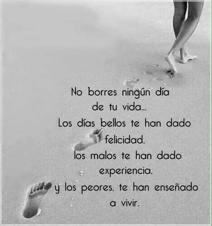 Edith Alcantara Becerril (@edithal75173806) on Twitter photo 