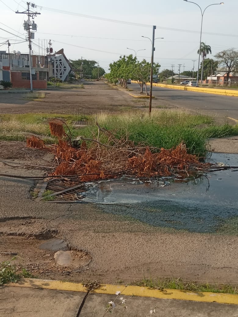 julioenradiotv's tweet photo. 12-05-23. Av. Intercomunal, puente Tamare, sector Campo Alegre 1, seguimos con el bote de aguas negras, ya no se soporta el mal olor con las lluvias y cuando no hay luz es horrible el mal olor, no podemos ni salir al frente de la casa, están saliendo culebras y otros animales. https://t.co/kHRl5nYRlD