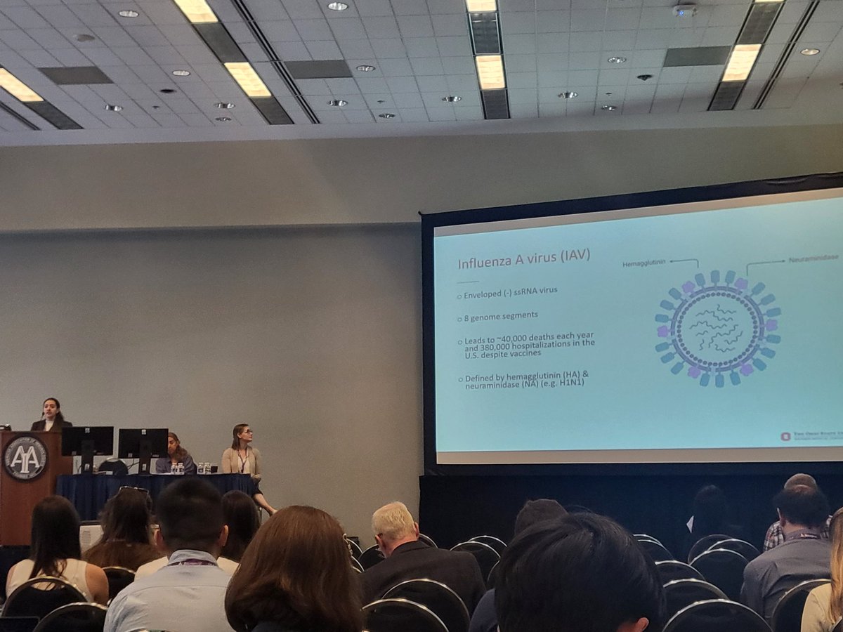 MycrobeMini's tweet photo. Superstar #OSUDiscoveryPrep student Lisbeth Disla representing @EmilyHemann's lab and @OhioStateMed at @ImmunologyAAI #immunology2023. Excited to see her excel as she moves to @DukeU for grad school! https://t.co/HSJ9JKOMTH