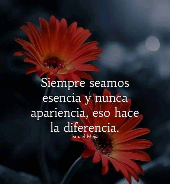 Margarita Mercado (@margaritaam21) on Twitter photo 