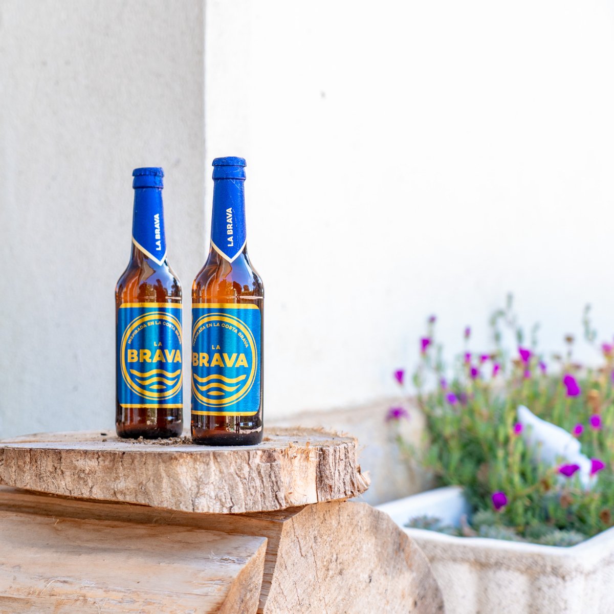 labravabeer's tweet image. Una cervesa amable, fresca i de gran personalitat per apreciar en qualsevol moment del dia! 🤤🍻

#amable #fresca #personalidad #cerveza #beer #labravabeer #labrava #compartir #momentos