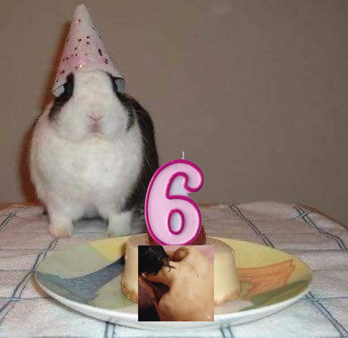 larryasbunnies's tweet photo. hbd hs1 💖 https://t.co/dzqCqRLTPZ