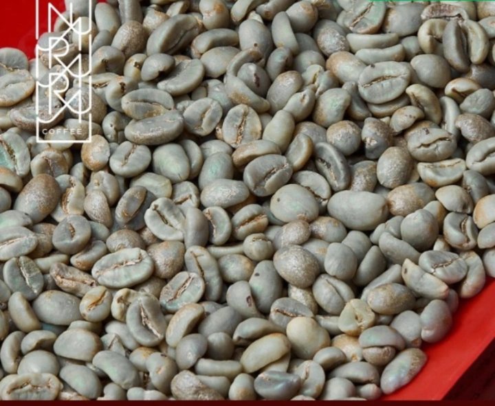 Vander Louis tweet media