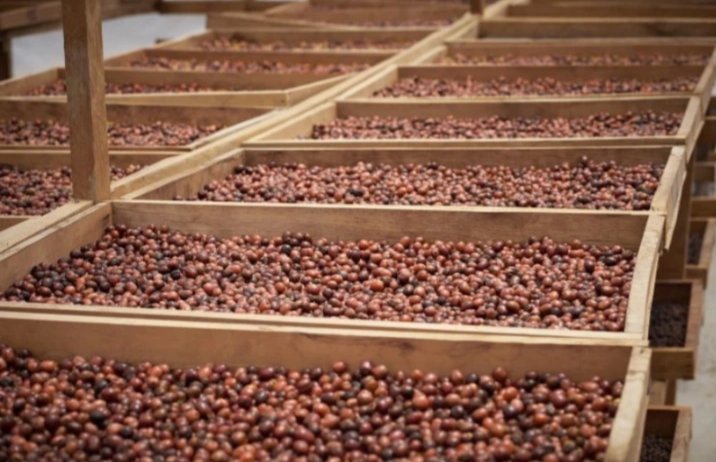 Vander Louis tweet media