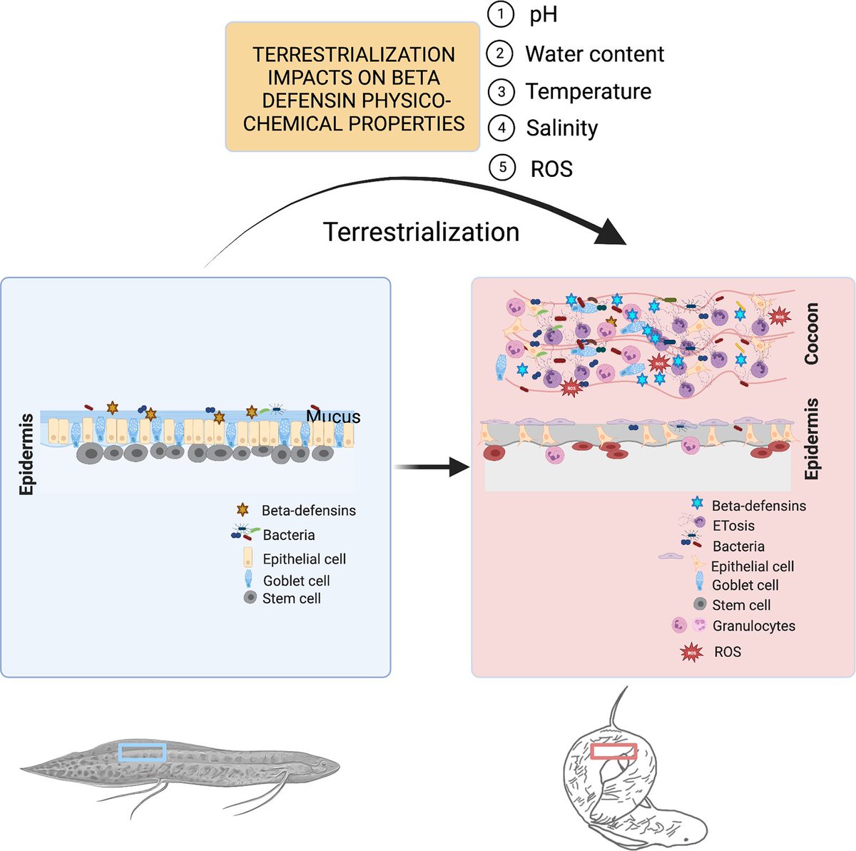 PLOS Pathogens tweet media