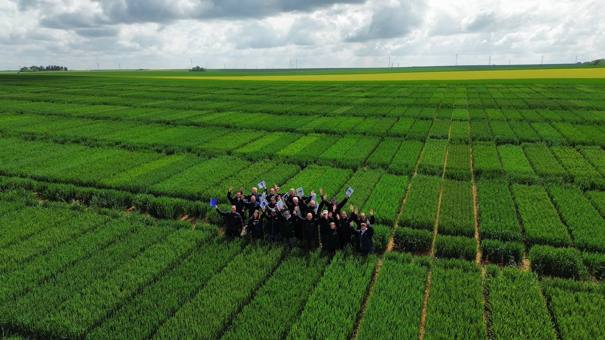 Fin de notre #croptour2023 ! 
#Blés hybrides &amp; lignées ont rythmé cette dernière journée secteur #berry

➡️ Tte l'équipe vous donne rdv aux #Culturales2023 les 14 &amp; 15 juin pr échanger autour de nos solutions génétiques 🌾🌱 sous la bannière du Réseau <a href="/DeleplanqueCie/">Deleplanque</a> Saaten-Union