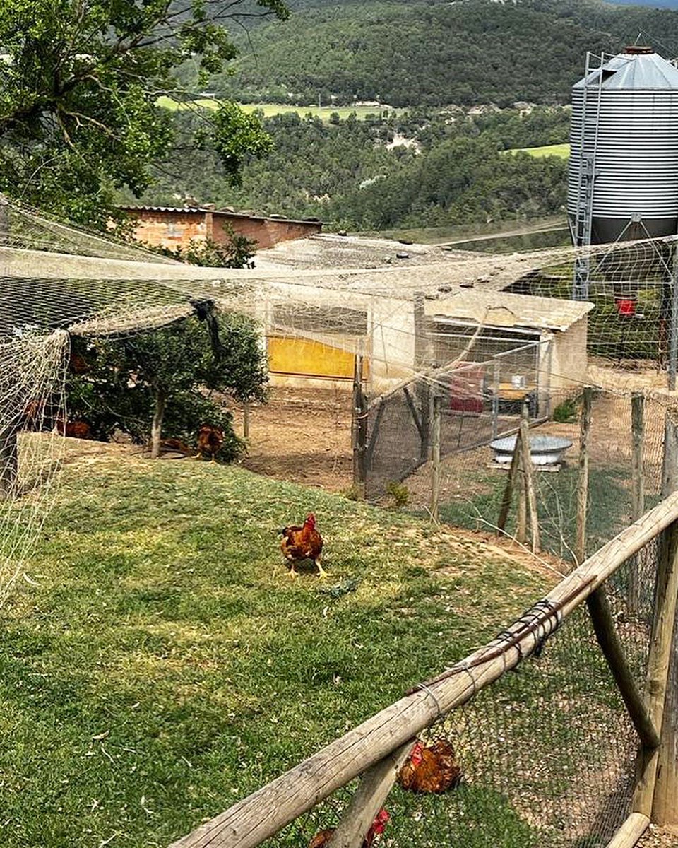 MobilSlaughter's tweet image. End of the week, end of "mechanical" installation in the #slaughterhouse, machines, water and air, it's finished... next week it's electrical installation 🐓🐓😉😉👨🏻‍🌾👩🏼‍🌾 #abattoir #rural #fabretall #fabretallgroup #poultry #chicken #proximity #livestock #primarysector #farmer