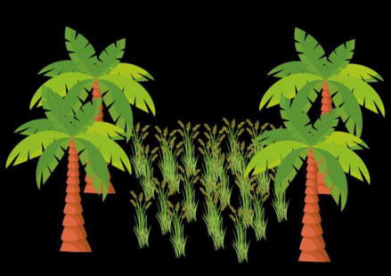 **PhD position**: Towards selecting cereals for agroforestry: an ecophysiological approach to rainfed rice responses to light and water availability. Based at <a href="/Cirad/">Cirad</a>  <a href="/AgapInstitut/">Agap Institut</a> Montpellier with field work in Indonesia <a href="/UB_Official/">Universitas Brawijaya</a>. 

Full description: drive.google.com/file/d/12Igwnr…