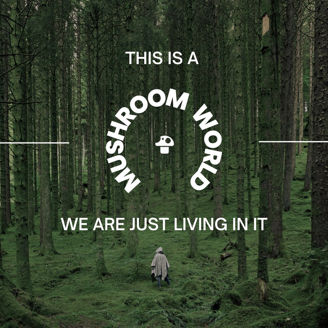 🍄 Living in a Mushroom World! 🌍 Mushrooms shaped Earth's ecosystems for ages. Mycelium, the 'internet' of the mushroom world, connects everything underground, nourishes Earth, reminding us to coexist while interconnected. 🌿✨

#MushroomWorld #AncientEcosystems #Mycelium