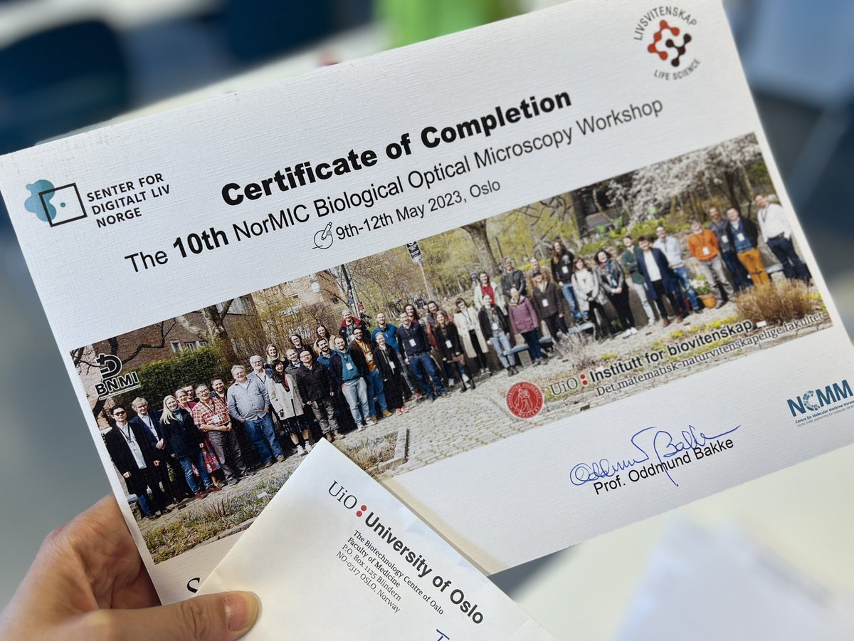 Edna,Xian HU tweet media