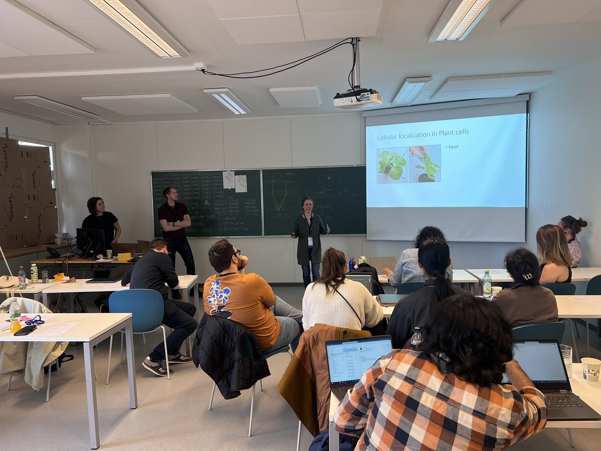 Edna,Xian HU tweet media